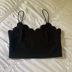 cropped scallop tank